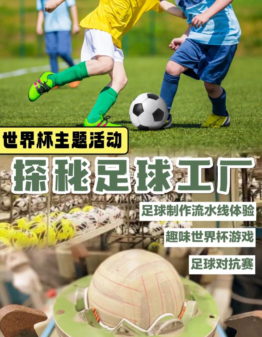 火焰纹章无双：战斗盛宴！现可实体版购买！