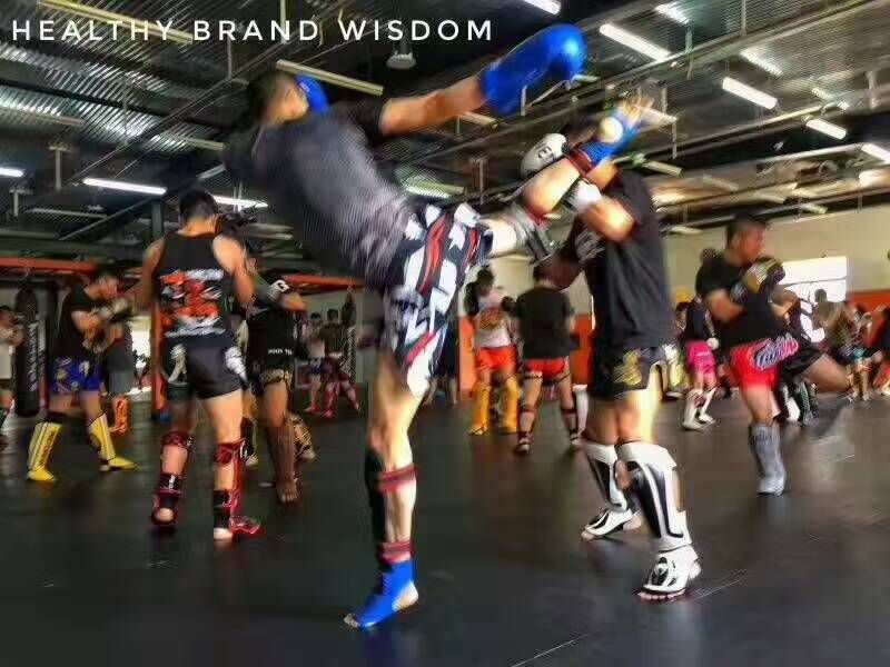 存档编辑器_real boxing存档_存档证明