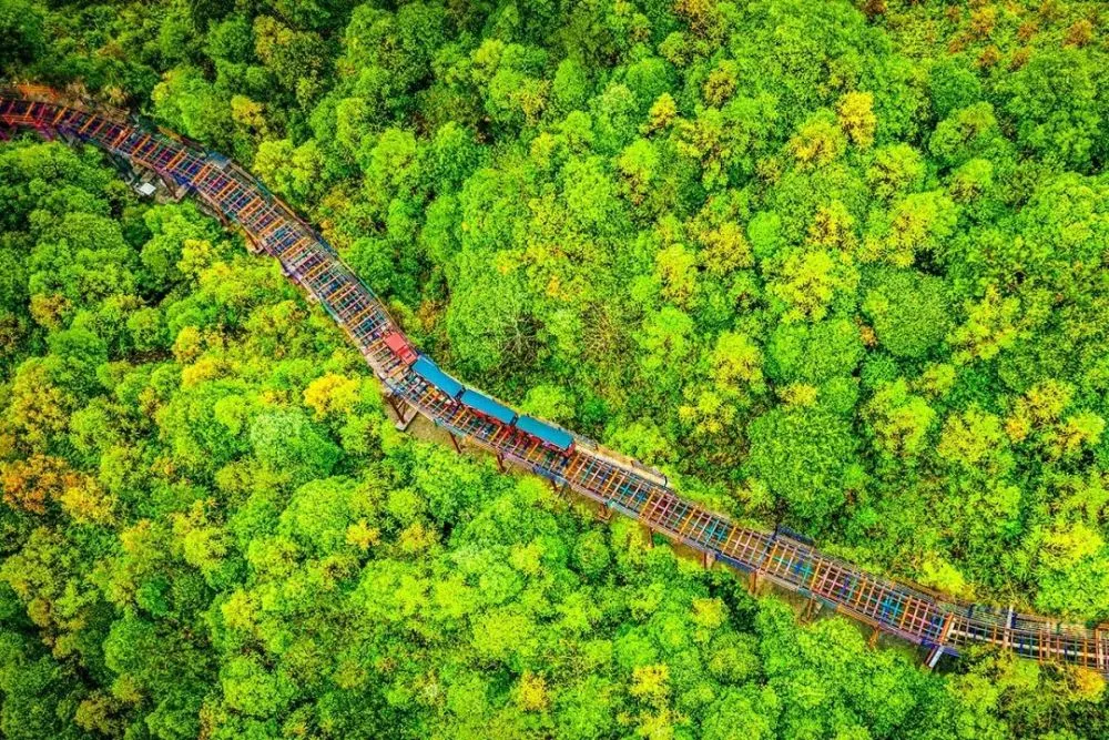 丛林历险记之遗失的世界_丛林历险之遗失的世界_遗失的世界之丛林历险