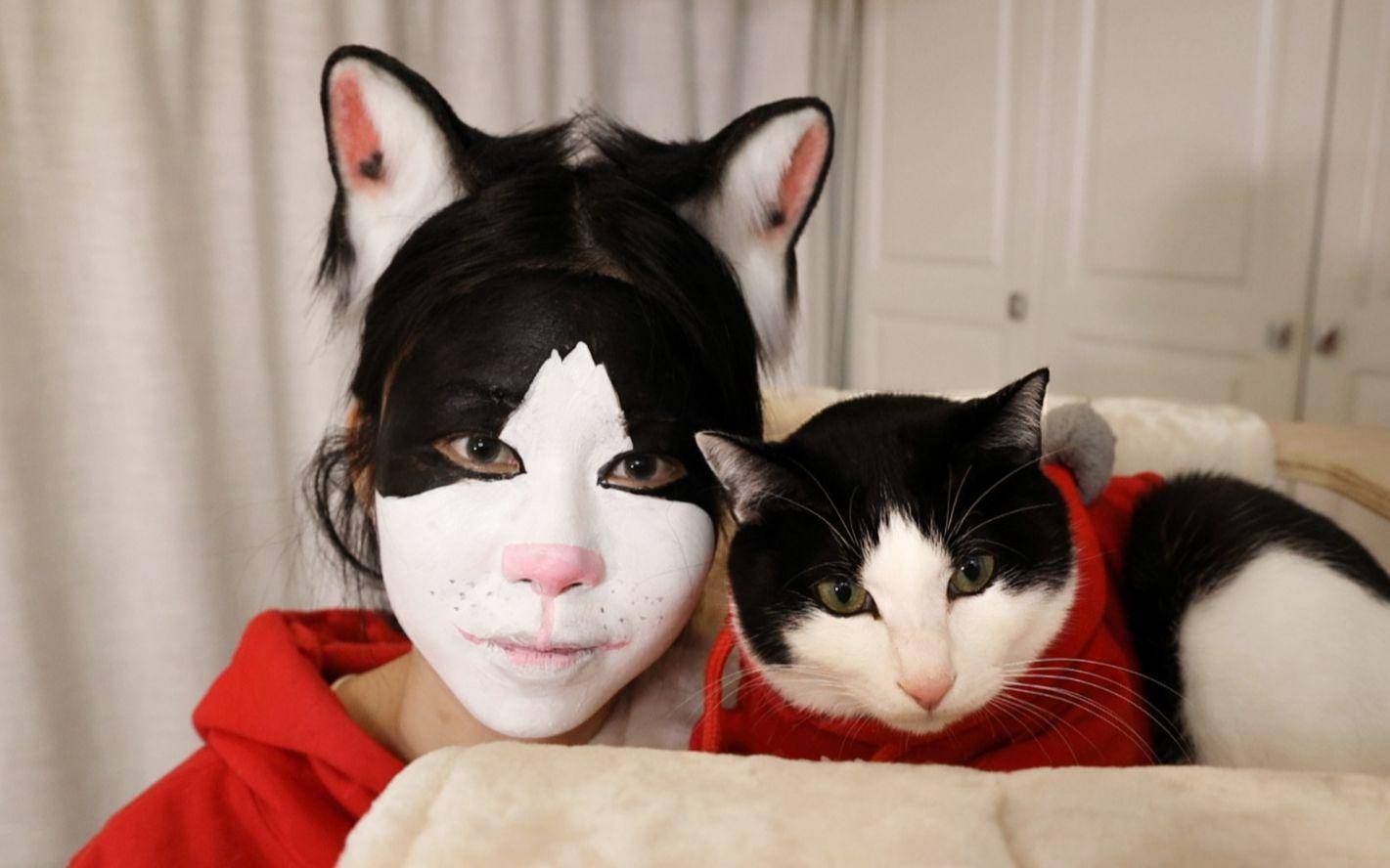 学舌猫游戏_有个游戏是一只猫学说话_学猫游戏解说