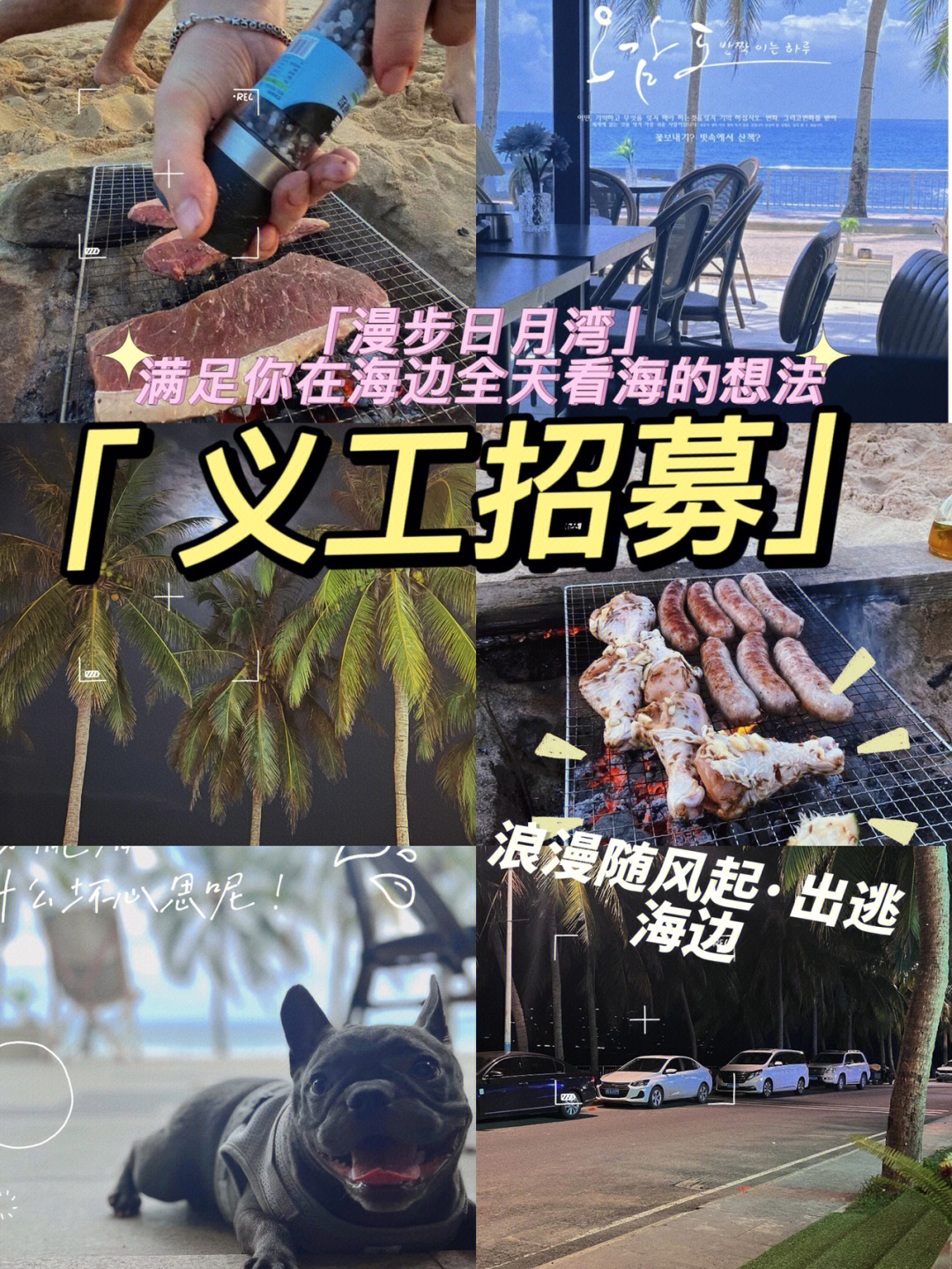 抢占上海滩游戏_抢滩类游戏_抢占沙滩游戏