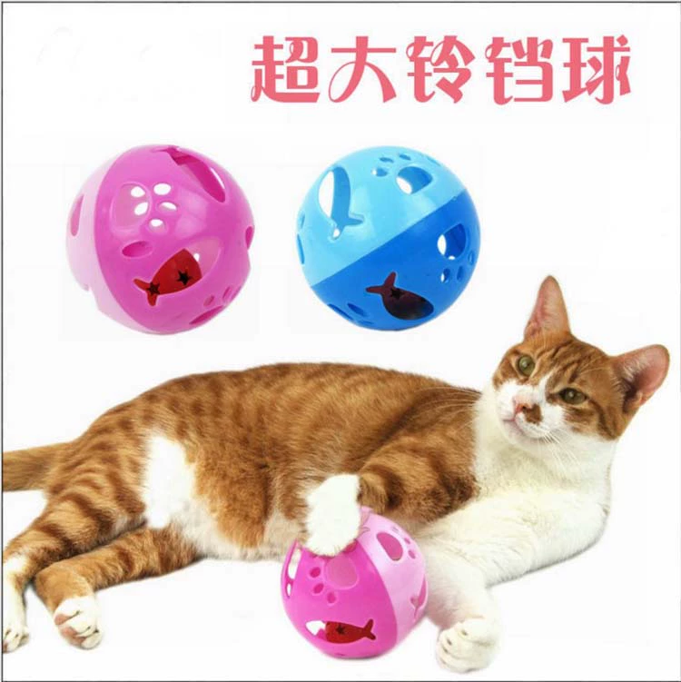 猫游记：让猫更爱你！