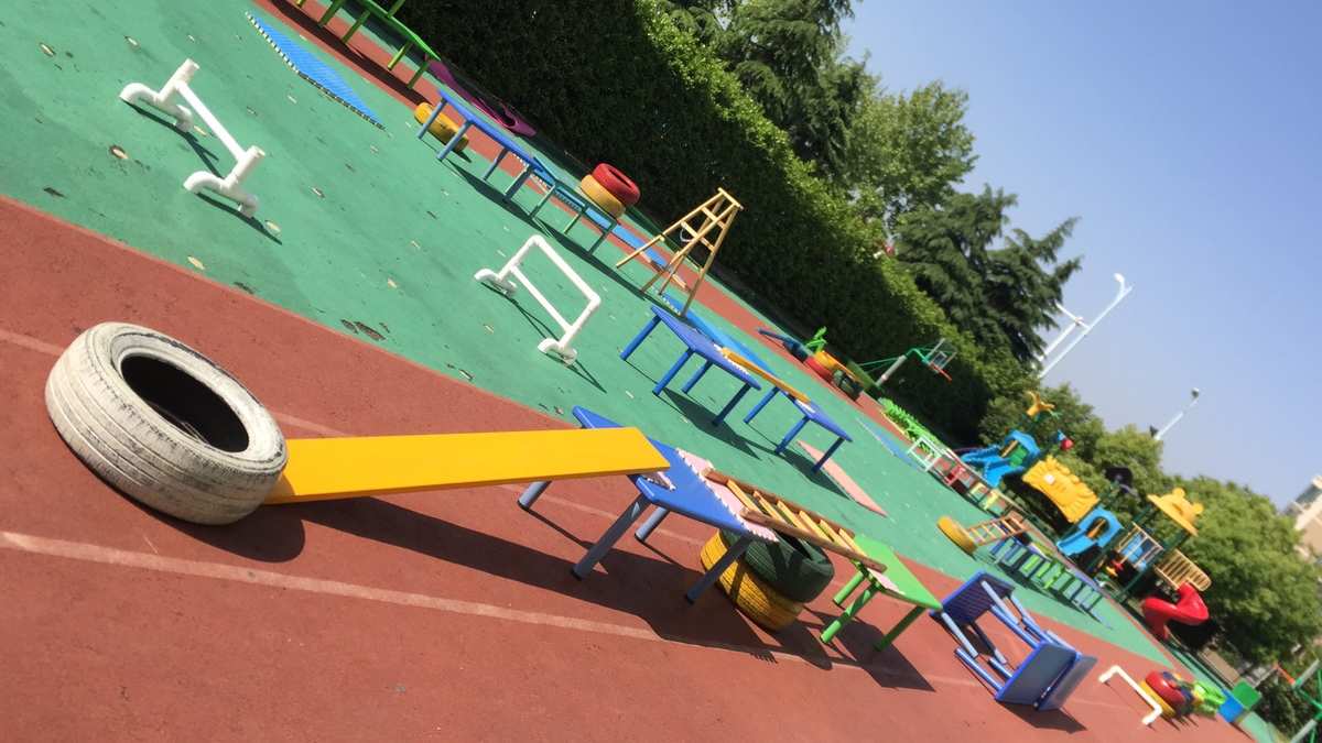 幼儿园课程游戏方案_幼儿园课程游戏优秀案例_幼儿园游戏课程