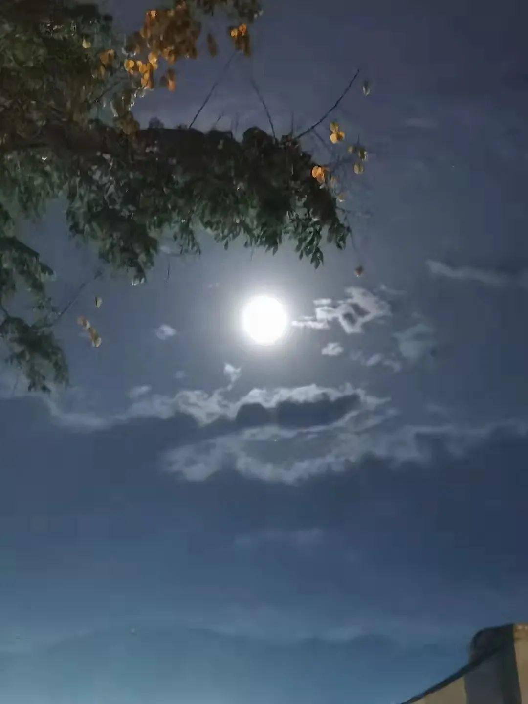 君美_君美施医疗整形医院_君美集团
