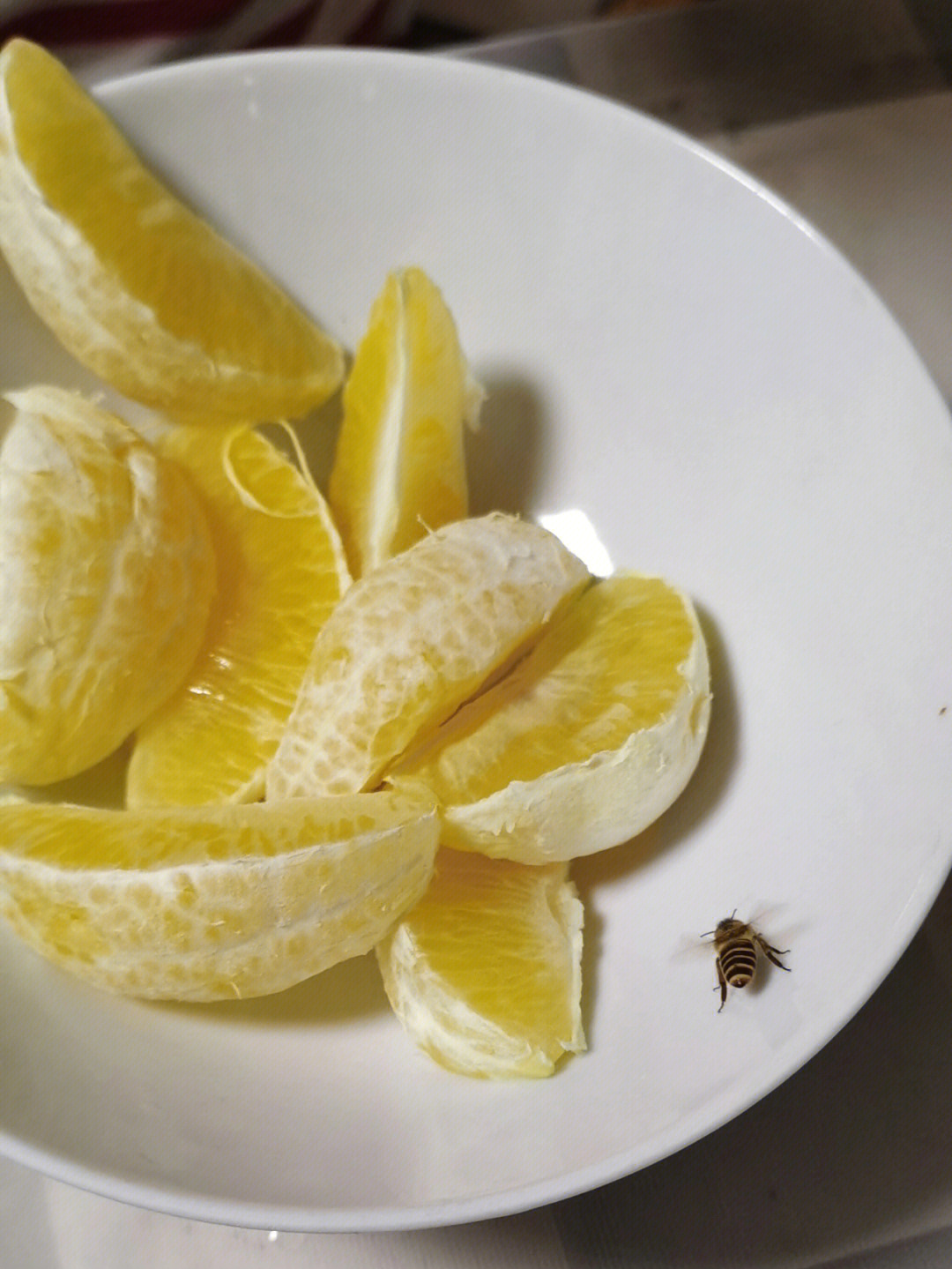 大战害虫水果图片_水果大战害虫_水果大战害虫有手机版吗