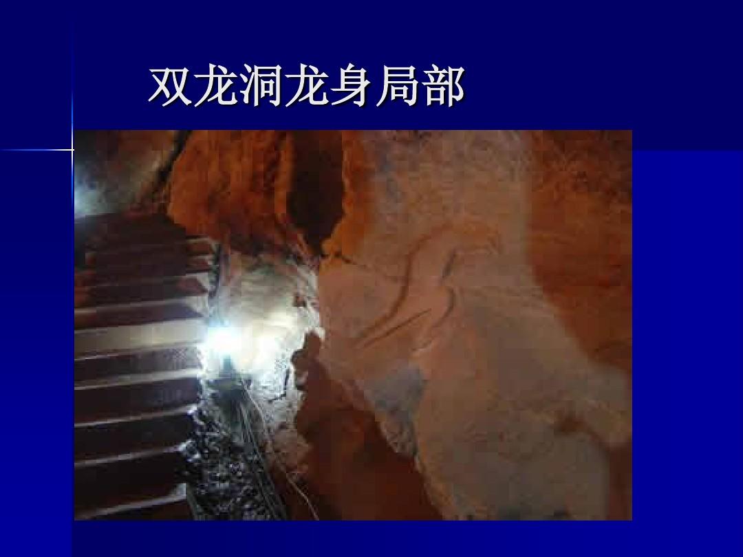 崖龙湾_龙崖_崖龙花属