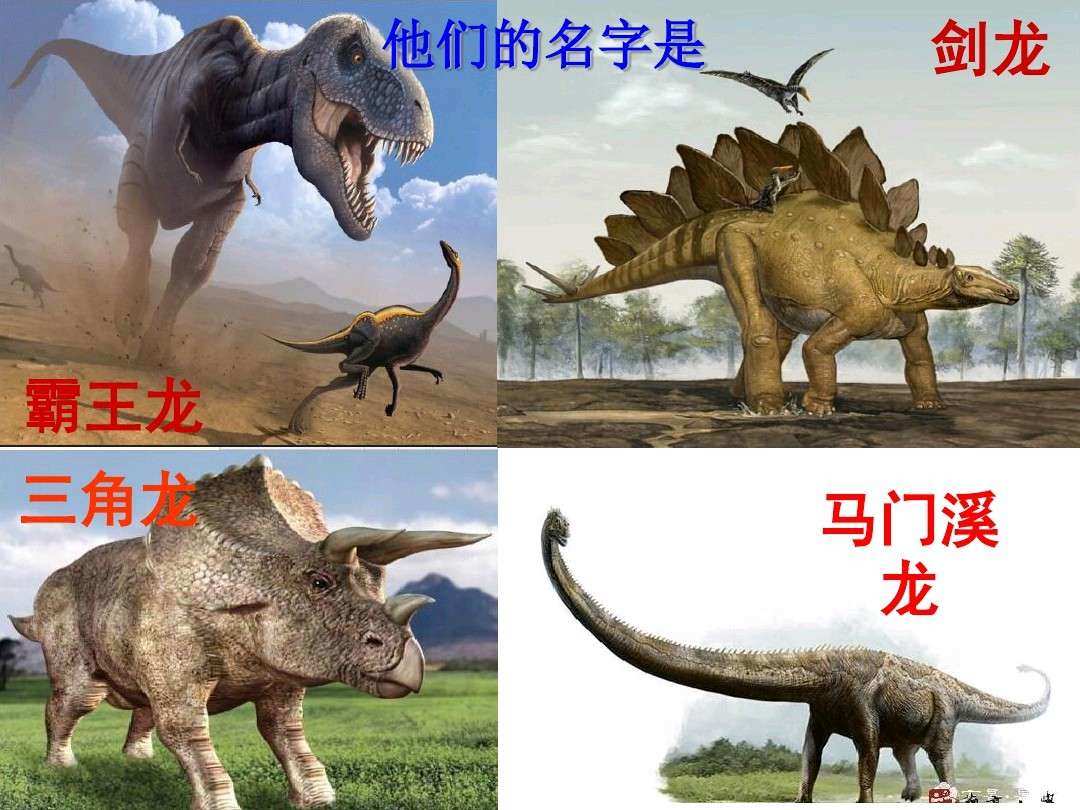 恐龙翻译_恐龙翻译器_恐龙翻译英文
