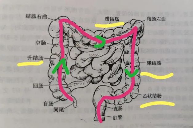 讨论组转群后原讨论组_脆皮大肠做法视频教程_九转大肠原视频