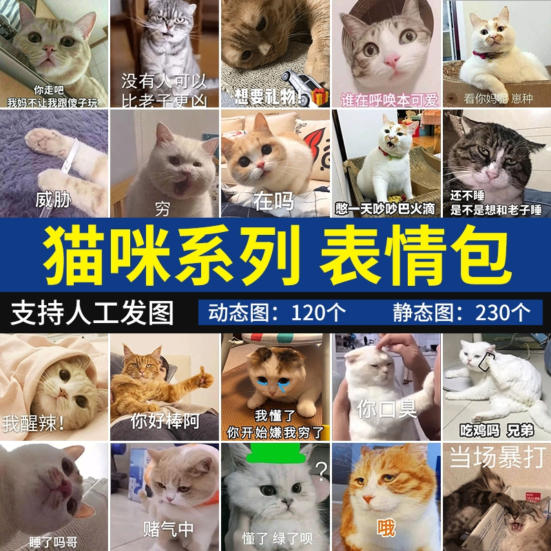 很火的猫猫表情包叫什么_猫表情包最近很火_很火的猫表情包gif