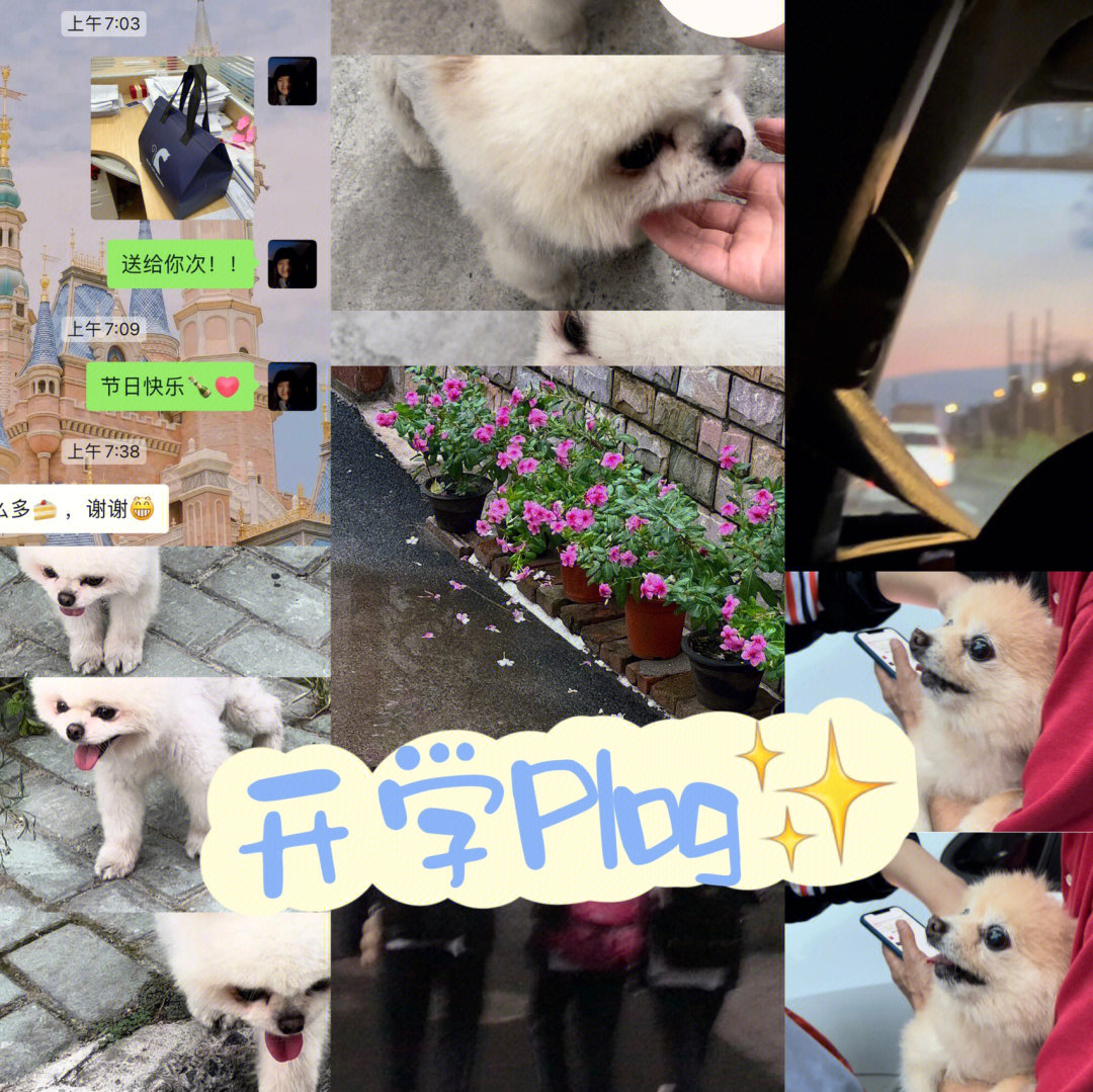 曲靖尹娜_尹娜的真言_尹娜