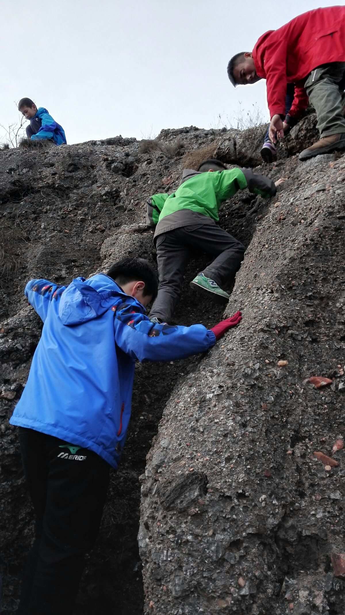妄想山海里怎么提升战力_妄想山海增加战力_妄想山海如何快速提升战力