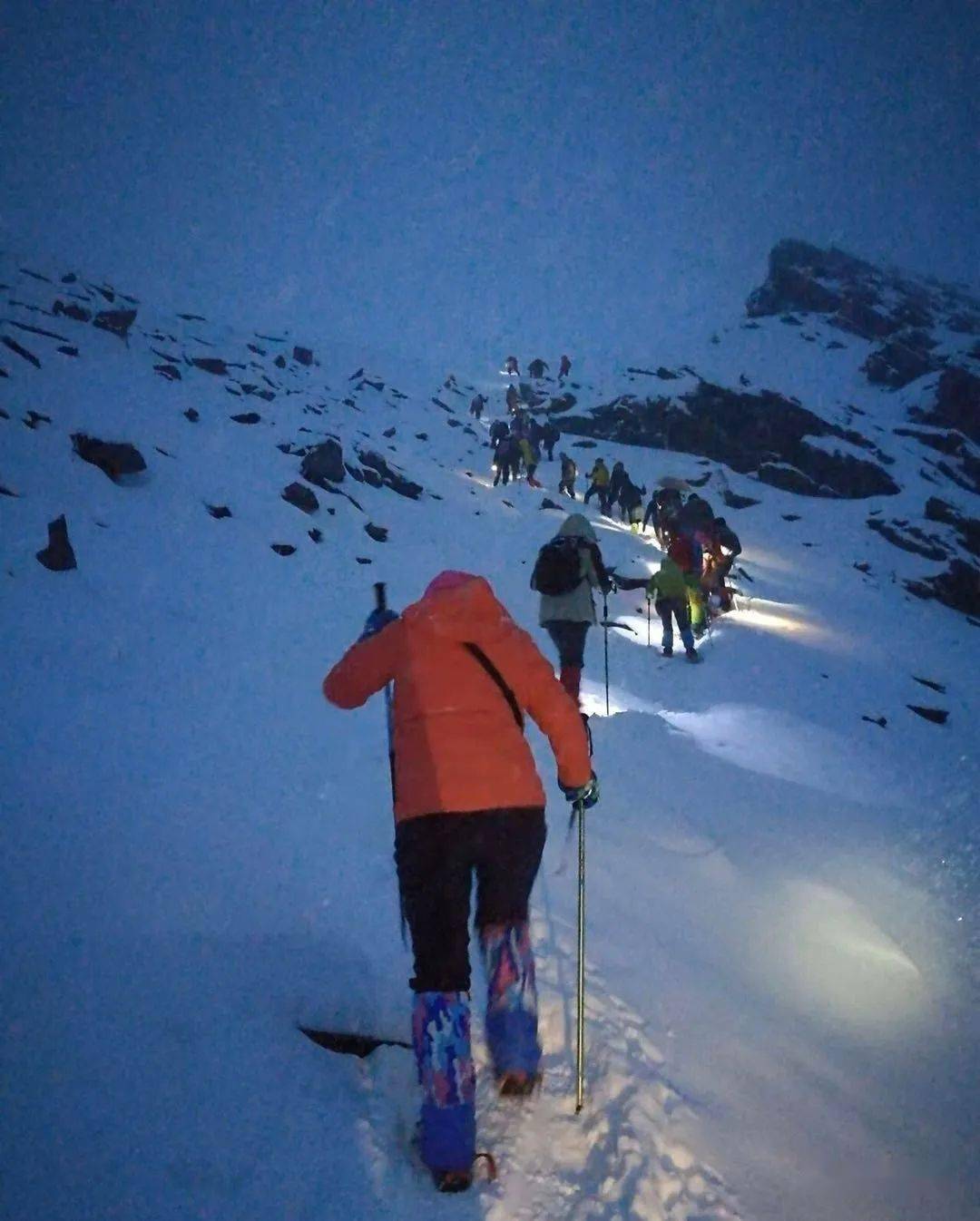 山林风雪间_山林风雪间小说苏婉玲陆仰_风雪山林
