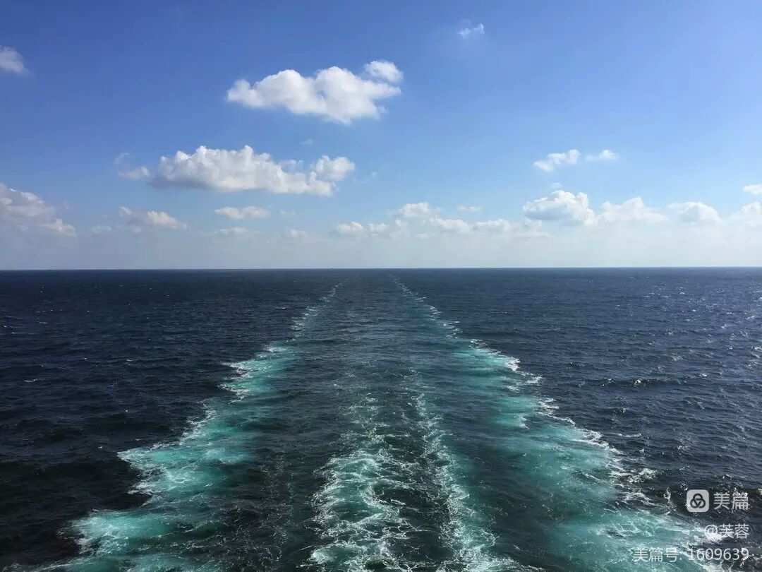 海豚小电瓶在哪里_小海豚_海豚小秀秀个人简介