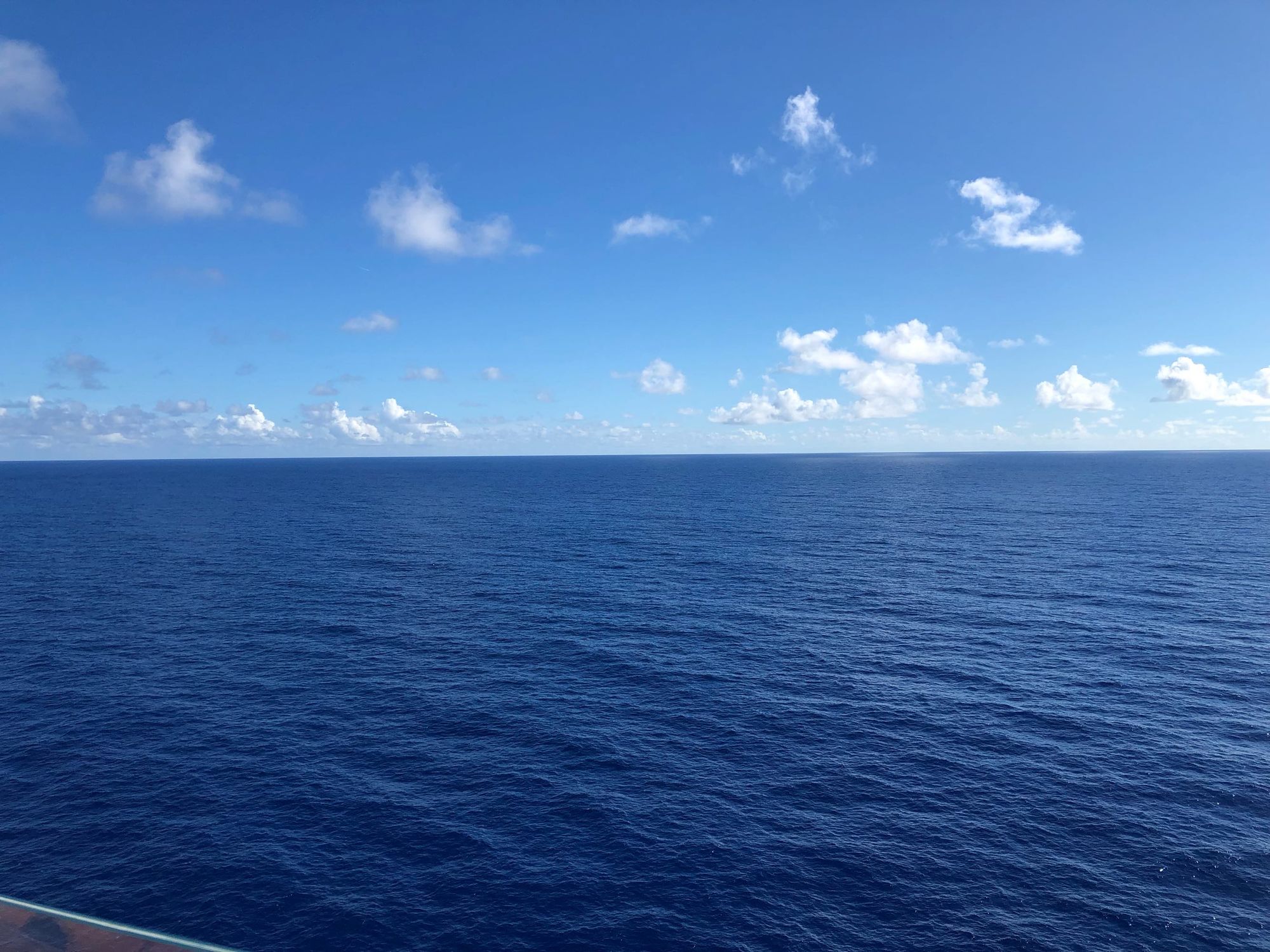 海豚小电瓶在哪里_小海豚_海豚小秀秀个人简介
