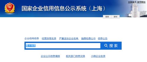 信用入口查询代码系统怎么查_信用代码查询系统入口_查信用代码的网站