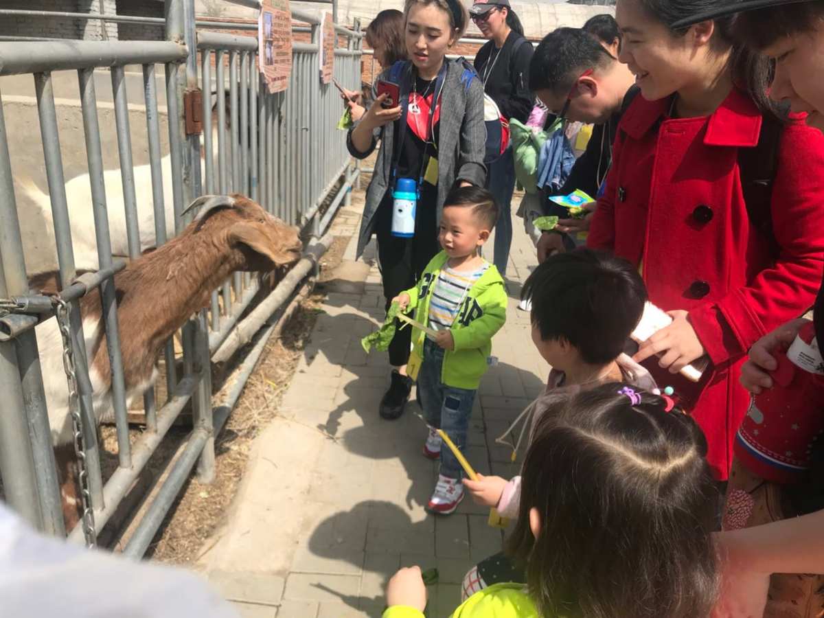 农场宠物如何获得技能_农场宠物医院图片_宠物农场