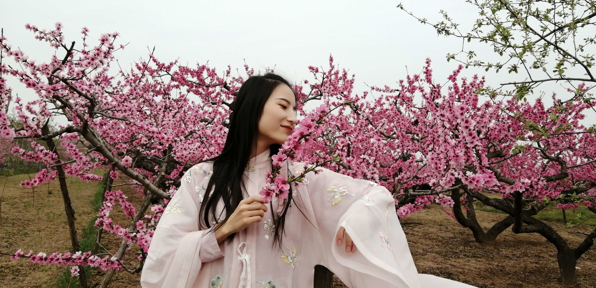 桃花仙子_桃花仙子指的是_桃花仙子下凡