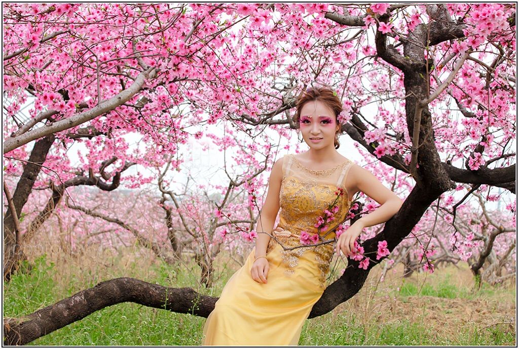 桃花仙子下凡_桃花仙子_桃花仙子指的是