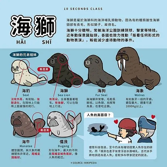 球球海狮进化图_球球海狮的进化型_精灵宝可梦球球海狮进化