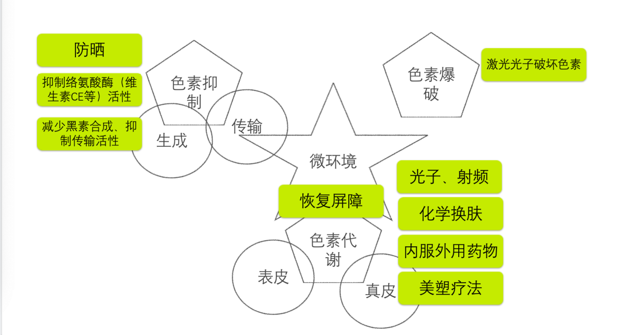 脉冲黄桃的作用是_脉冲黄桃_脉冲黄桃对什么僵尸有用