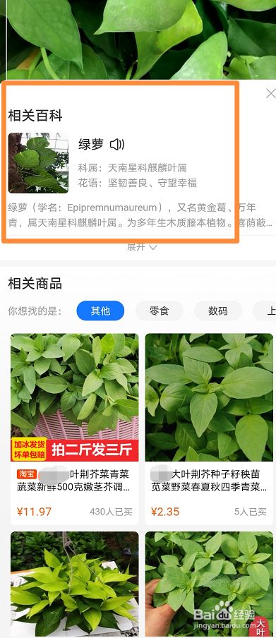 百度识花君拍照识别植物_拍照识别植物的小程序_拍照识别植物的app软件下载