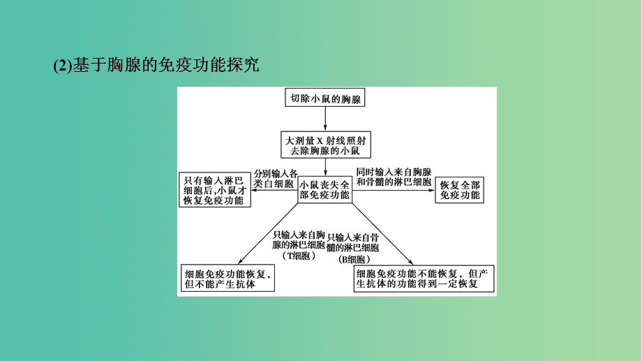 中文工作细胞动画片_中文版的工作细胞_工作细胞中文版