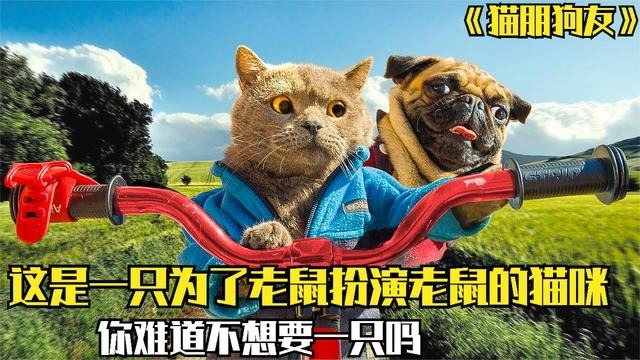 免费观看美剧app下载_美剧app免费_哪个app看美剧最全还免费