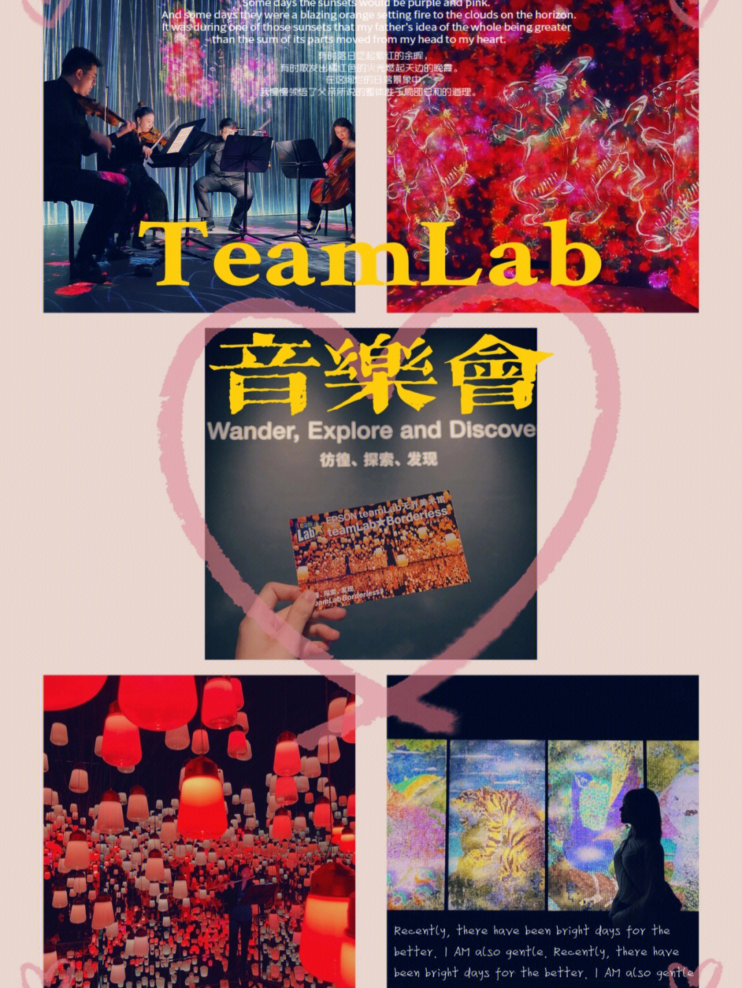 冠军唱的歌_我是唱作人总决赛冠军_原创歌曲冠军