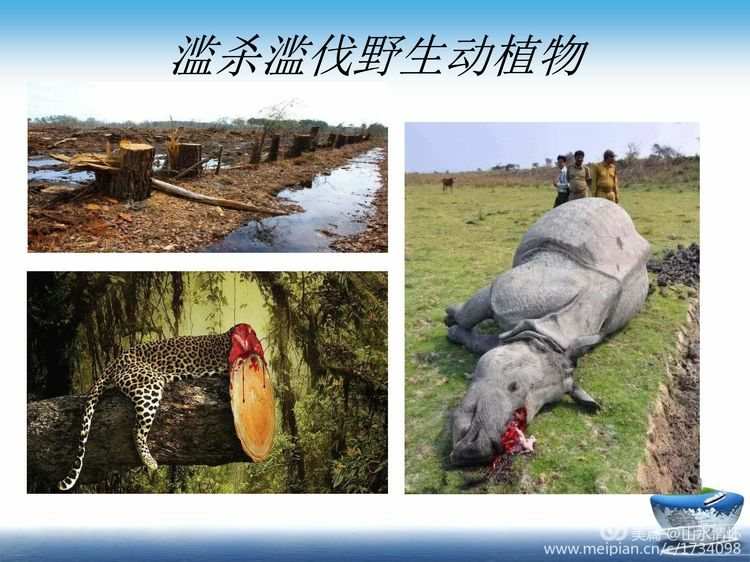 乐美解说人类败涂地_人类的一败涂地_人类一败涂地脸怎么画