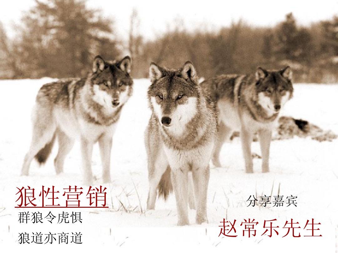 狼群社区_狼群社区_狼群社区