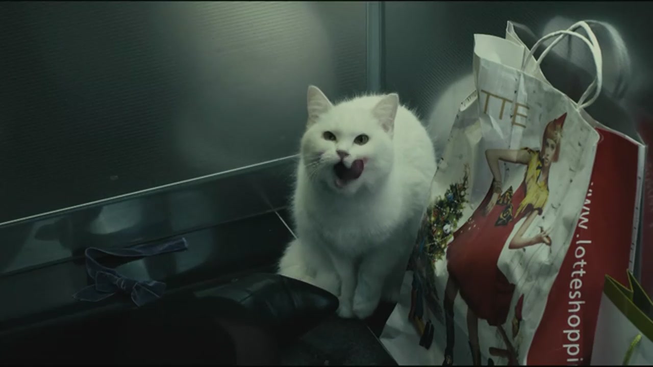 猫狗影院_猫狗影院电视剧_猫狗影院综艺