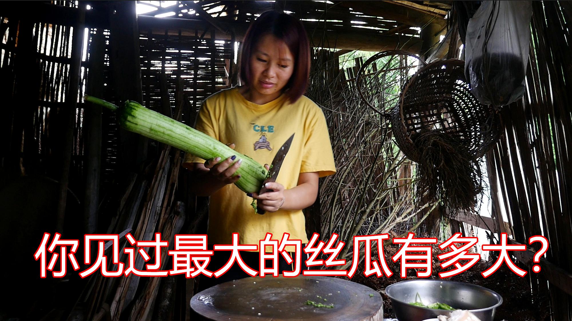 免费丝瓜视频_大棚丝瓜种植技术视频_丝瓜搭架视频教程