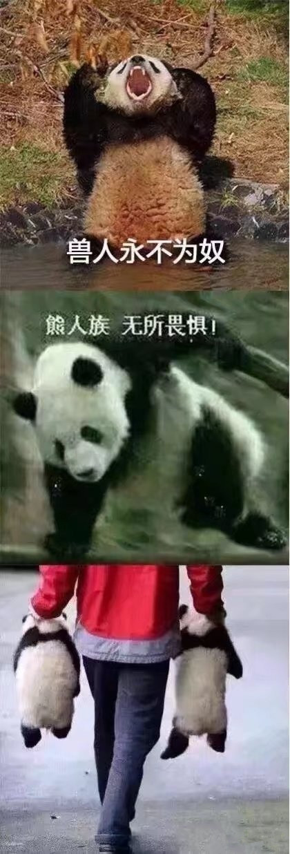 影视沙雕头像_沙雕影视_影视沙雕名场面