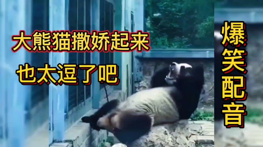 影视沙雕头像_沙雕影视_影视沙雕名场面