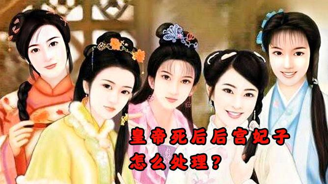 后宫上位记_后宫上位记_后宫上位记