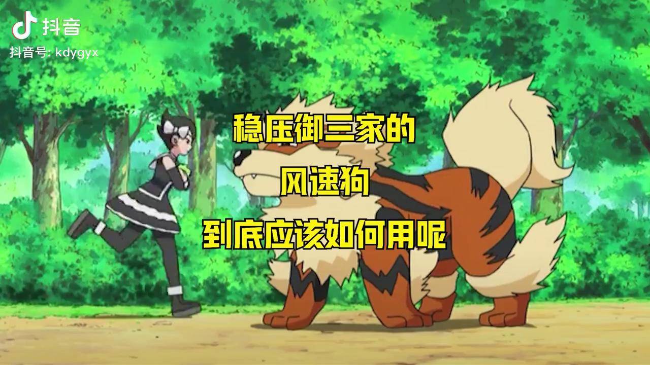风速狗性格配招_朱紫风速狗性格配招_剑盾风速狗性格配招