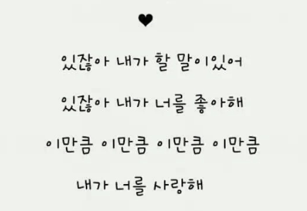 翻译韩语软件app_翻译韩语的软件_翻译韩语软件哪个好