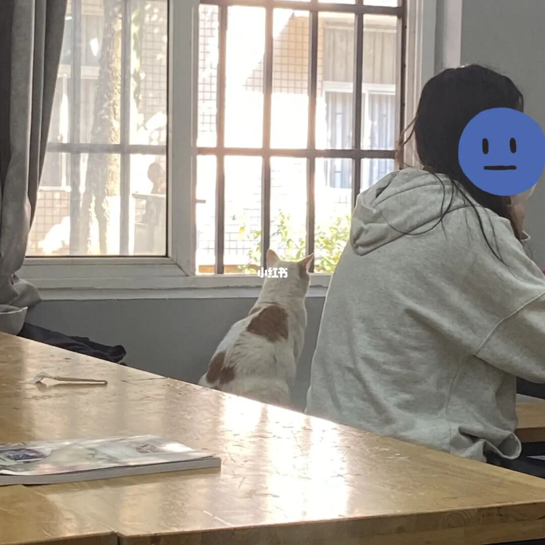 猫语翻译器_猫语翻译器_猫语翻译器