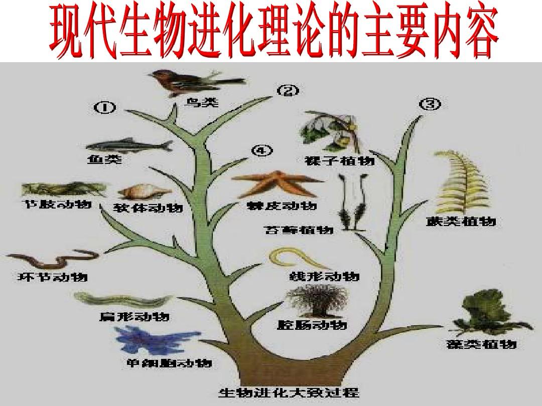 进化进化达尔文背后的战争_进化之夏_进化2