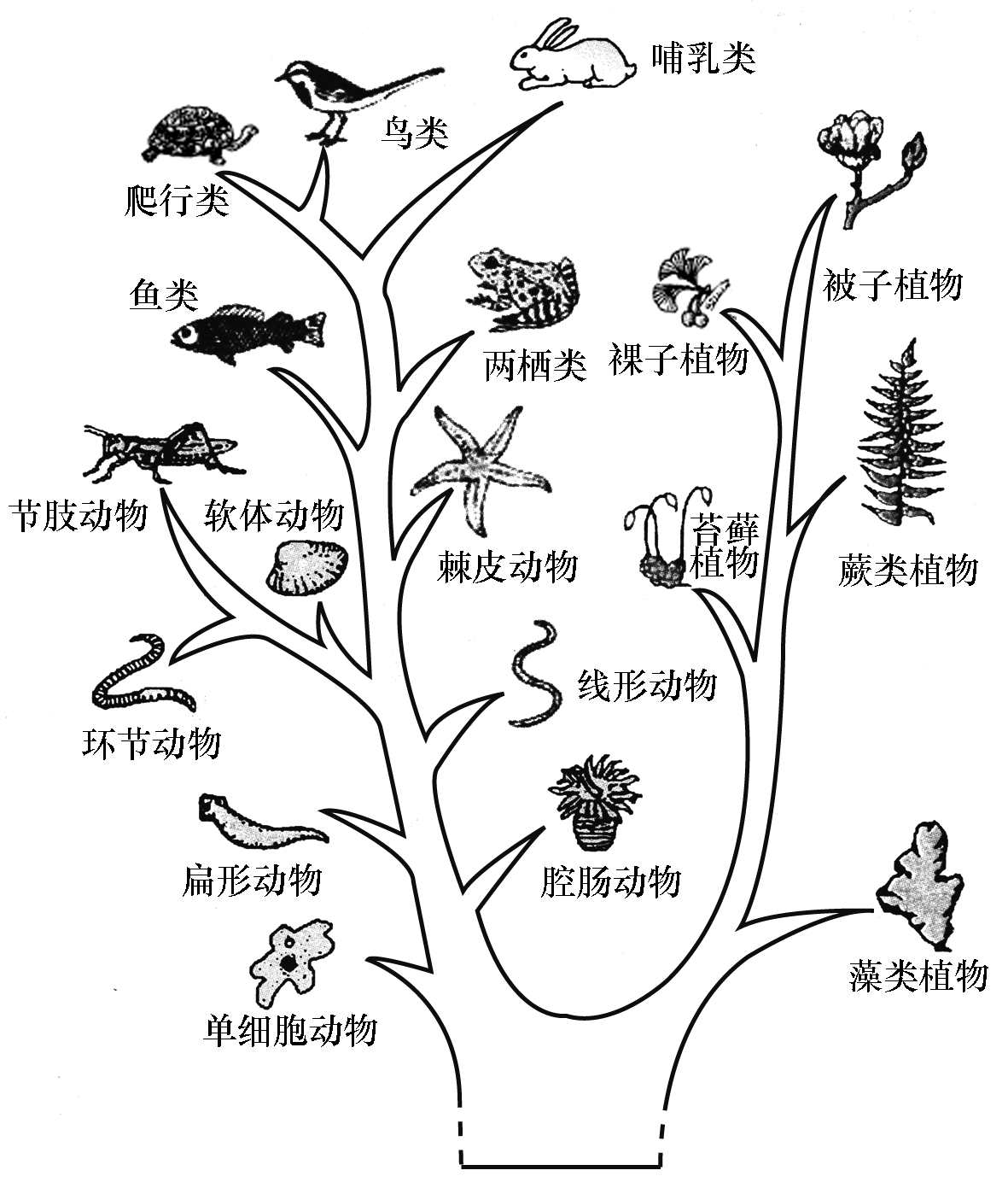 进化进化达尔文背后的战争_进化2_进化之夏