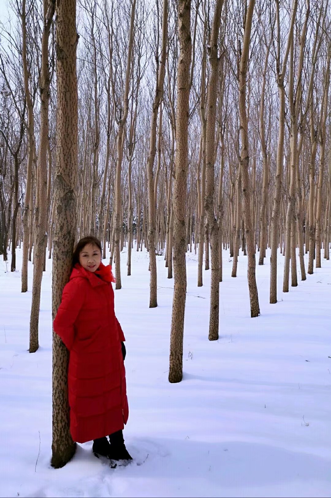 雪影追踪_雪影追踪演员表_电影雪影追踪