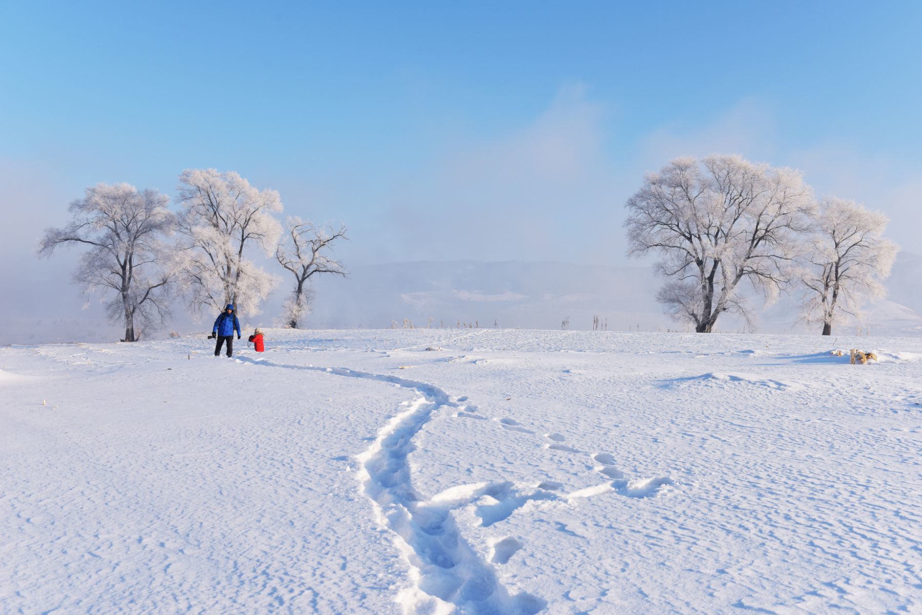 雪影追踪演员表_电影雪影追踪_雪影追踪