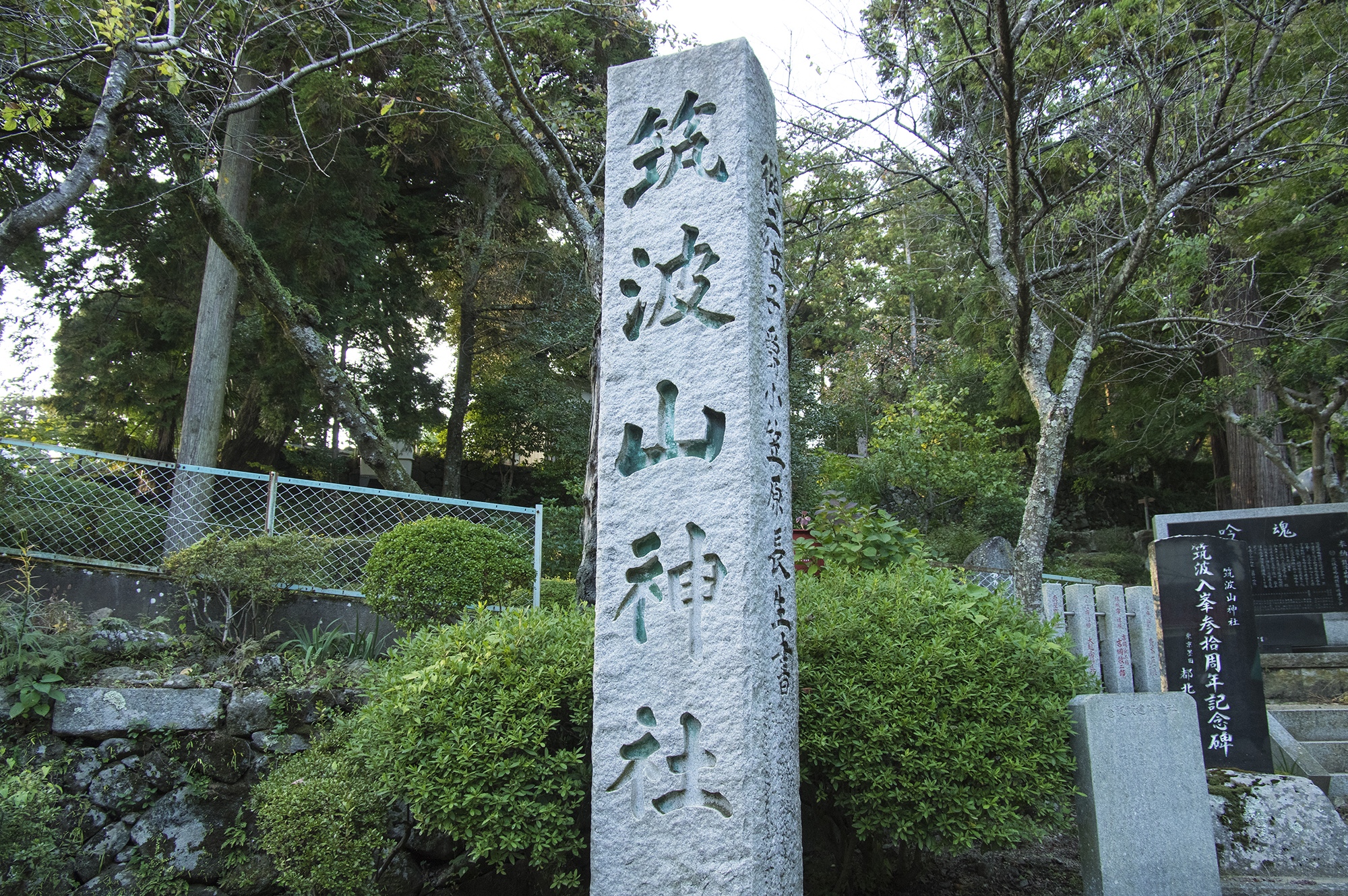 hacg琉璃神社下载_琉璃神社下载很慢_琉璃神社怎么下载