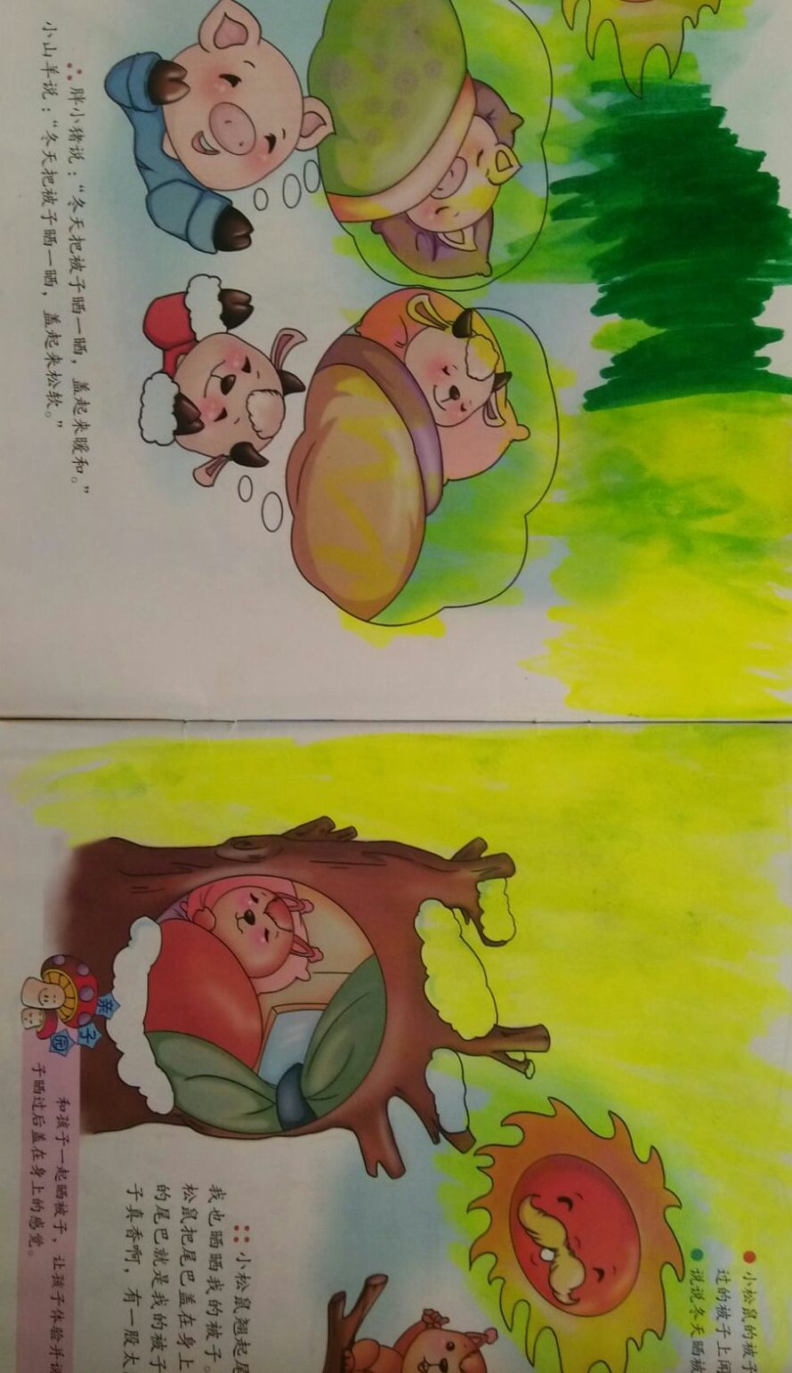 胖胖羊回家_小羊回家了_小羊回家什么意思
