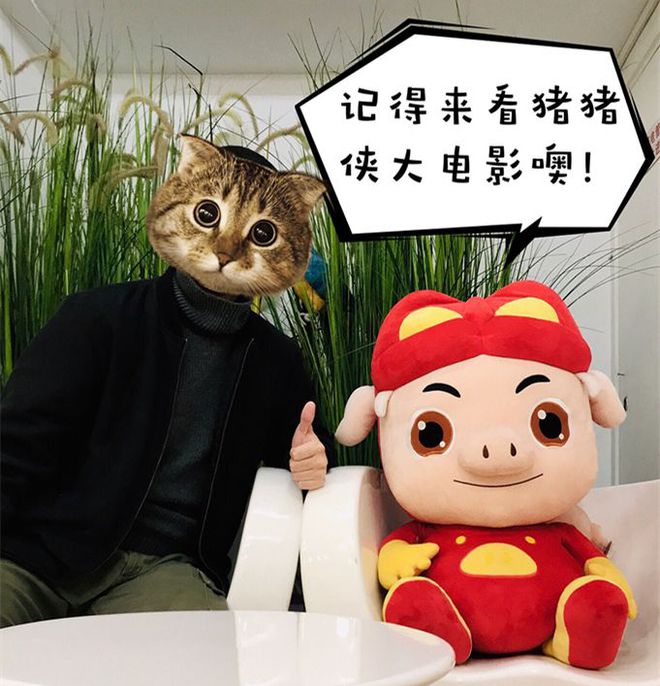 猪猪视频怎么变成聊天软件了_猪猪视频需要什么浏览器_猪猪视频为什么不能用了