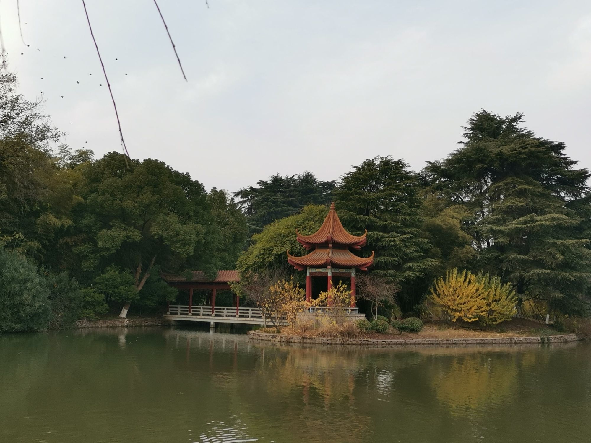 风景套路_手机观景技巧套路游戏_安卓手机自带游戏技巧