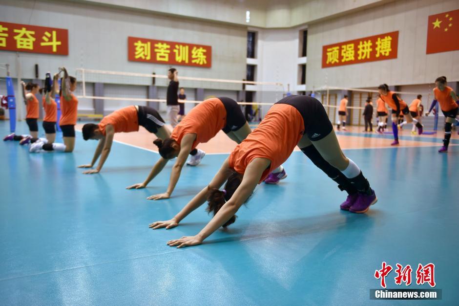 女排玩手机游戏_中国女排做游戏_模拟女排的游戏