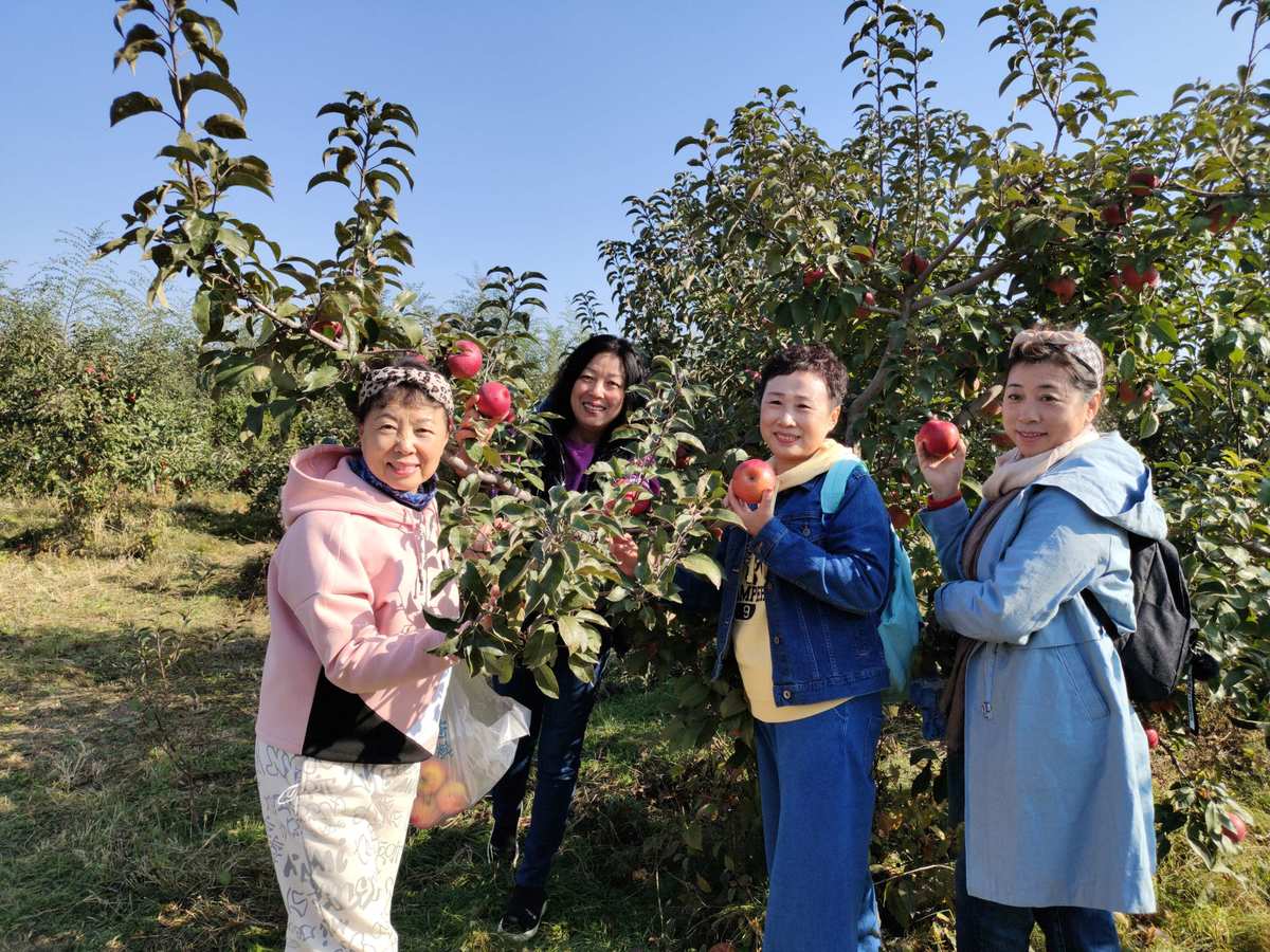 苹果手机下载各种游戏软件_苹果手机下载各种游戏软件_苹果手机下载各种游戏软件