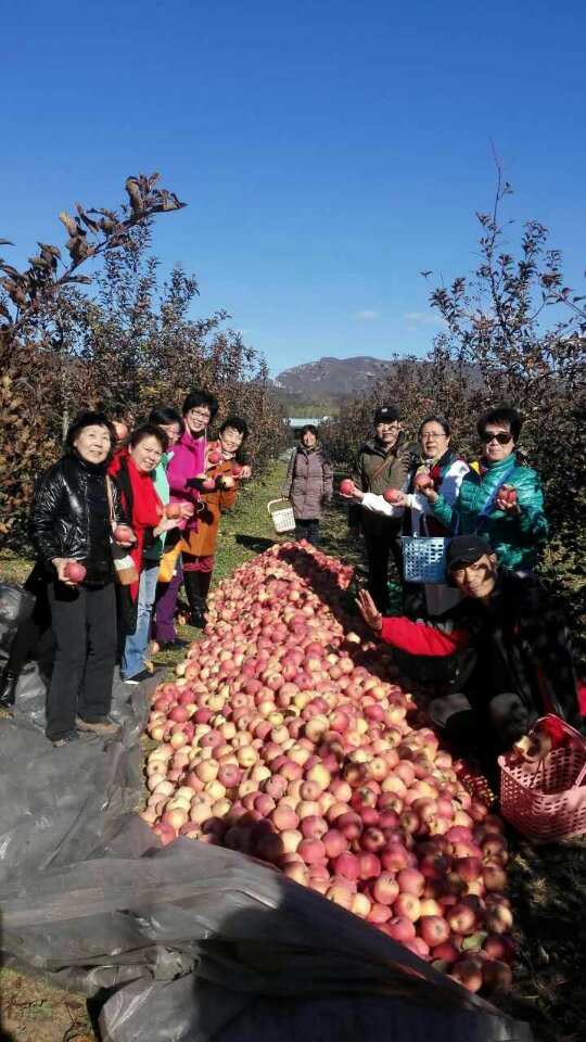 苹果手机下载各种游戏软件_苹果手机下载各种游戏软件_苹果手机下载各种游戏软件