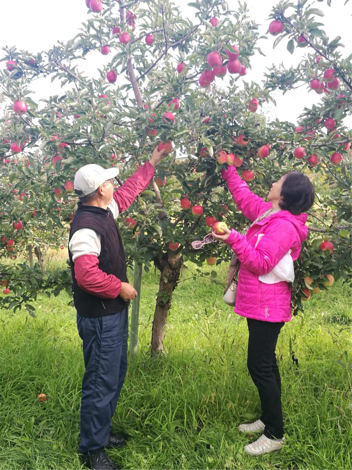 苹果手机下载各种游戏软件_苹果手机下载各种游戏软件_苹果手机下载各种游戏软件